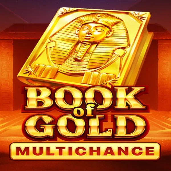 Book of Gold Multichance logo by Playson Sloterra Casino