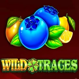 Slots logo of Wild Traces from Amusnet Interactive at Sloterra Casino